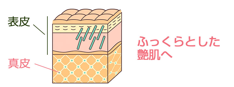 艶肌へ